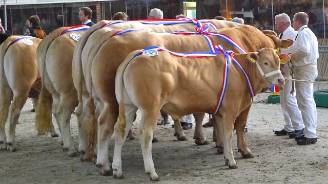 Catalogus Nationale keuring