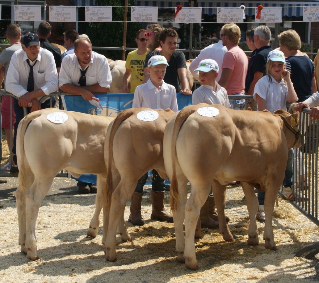 ’Mariënheem’ denkt ook aan de jeugd.