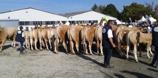 opstellen voor de prijsuitreiking op de keuring in Les Herbier