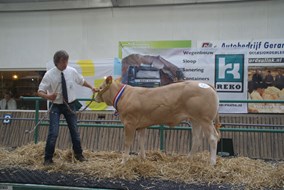 Jackie Malo v.Barbes van Marcel Gerritsen kampioen