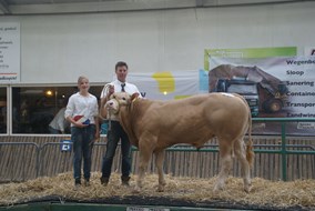 Jackpot vd Boerlanderij v.Dizier du Moulin van de Woeste Hoeve res. kampioen