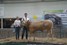 Jackpot vd Boerlanderij v.Dizier du Moulin van de Woeste Hoeve res. kampioen