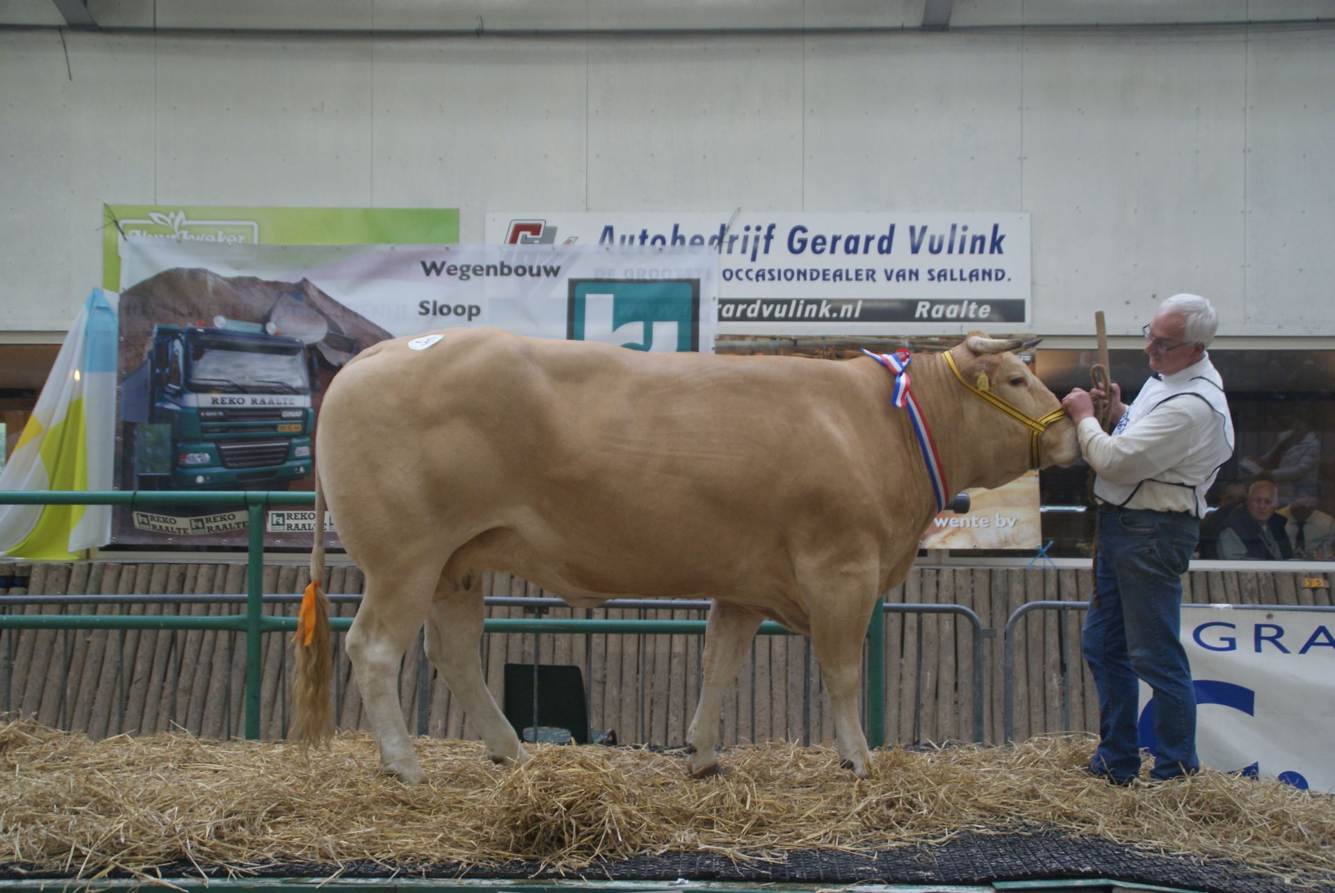 Kampioenen oudere dieren in beeld