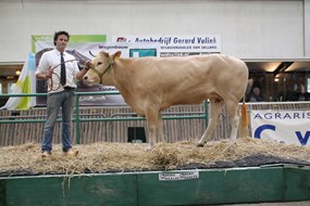 Genève v.Bolero van Dennis Boerland res. kampioen
