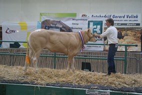 Isis Malo v.Barbes van Marcel Gerritsen miss Futur FIERBA