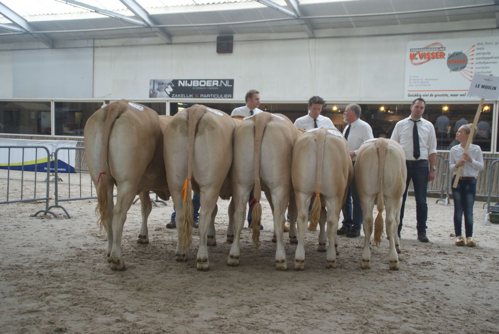 Bedrijfsgroepen in beeld