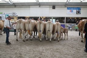 groep van Hoeve Druivendaal 2e plaats