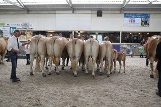 groep van Hoeve Druivendaal 2e plaats