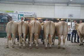 groep van de Woeste Hoeve 3e plaats