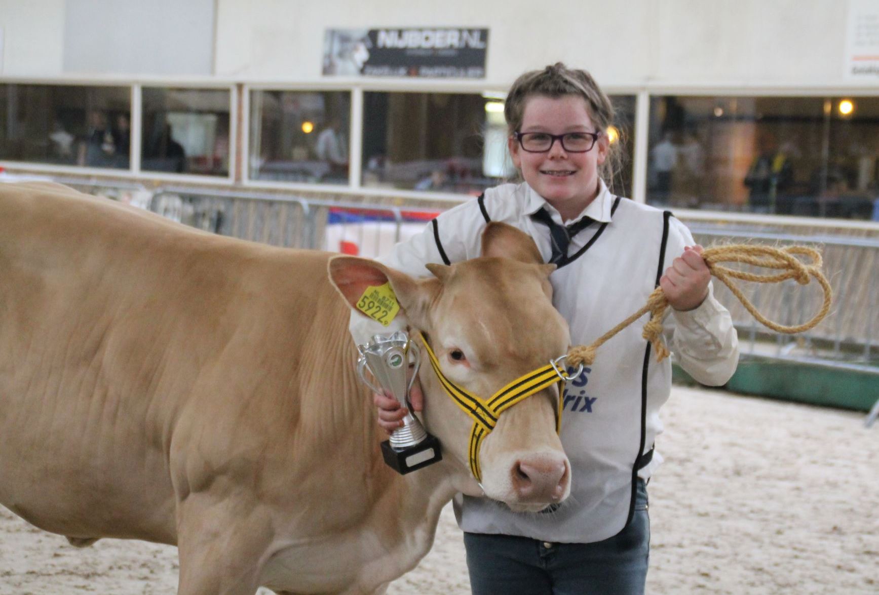 Fanatieke jeugd met hun kalveren op de Nationale in Mariënheem