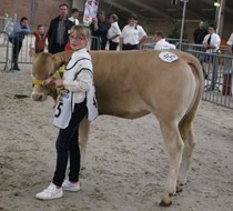 Hilleen Kip