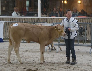 Kevin Tielbeke