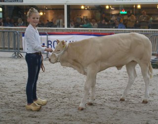 Roos Boerland