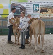 kinderen Schilder