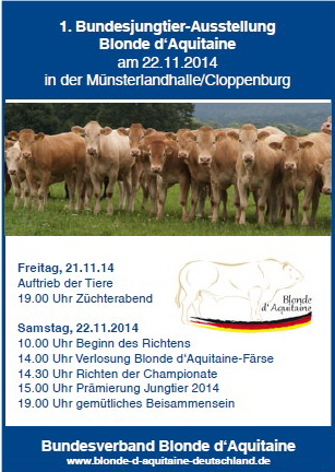 Blonde d’Aquitaine keuring van jongvee in Cloppenburg