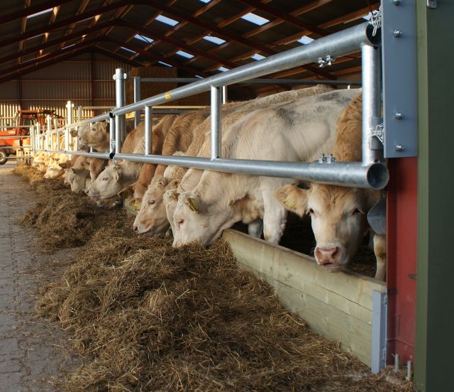 Cursus veebeoordelen