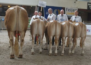 bedrijfsgroep VOF Dekkers in Marienheem 