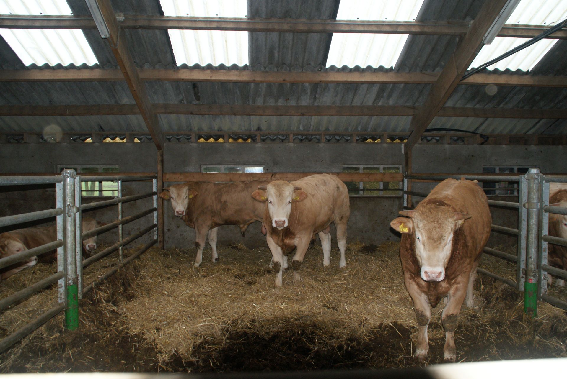 Inzendersdag COT voor de eigenaren
