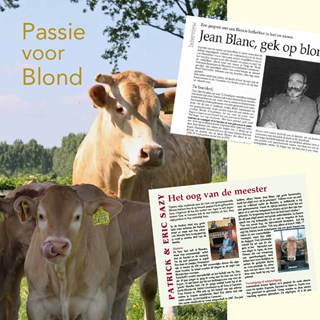 VISIE-site