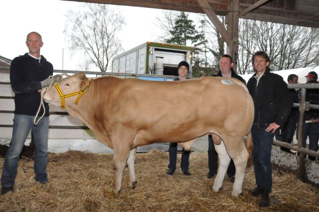 Nieuw record op COT-voorjaarsveiling in Laren