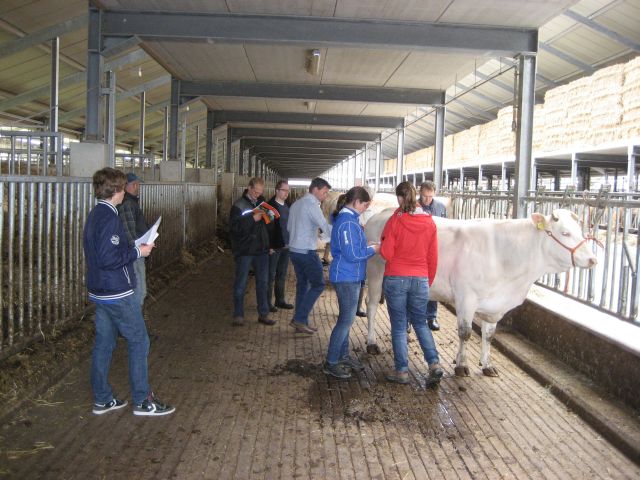Cursus veebeoordelen zaterdag van start