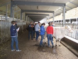 beoordelen in de praktijk