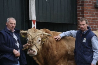 Johan en Jeroen Busch