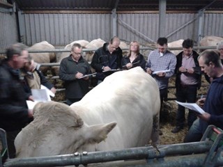 cursus 2