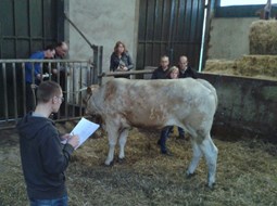 cursus 3