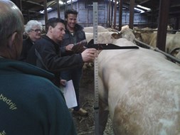 cursus 4
