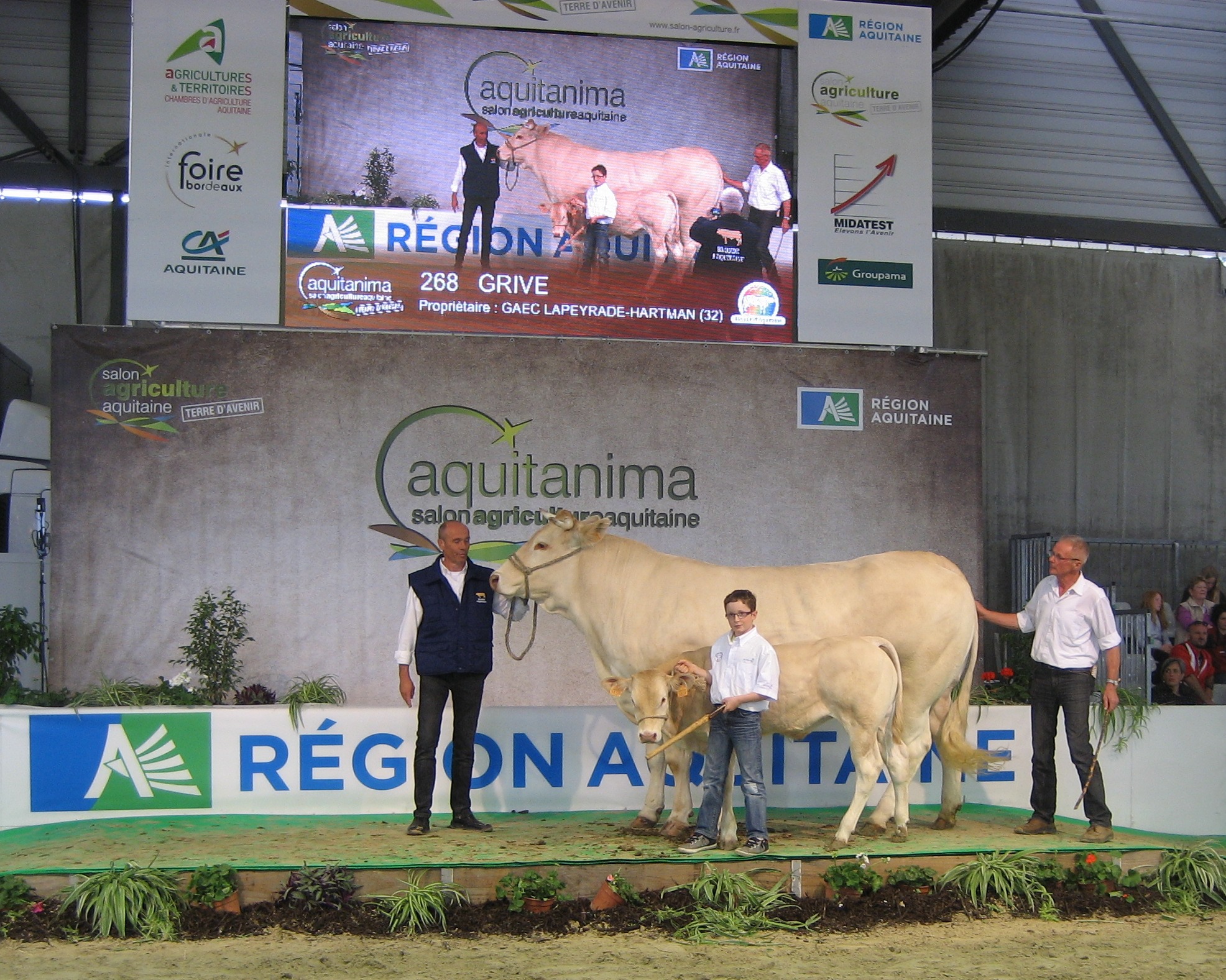 Mooi succes voor Nederlandse emigranten