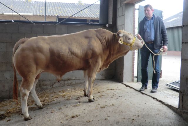 BAC Julius Malo naar nieuwe eigenaar in Duitsland