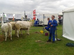 beurs 2