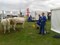 beurs 2