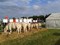 beurs 4
