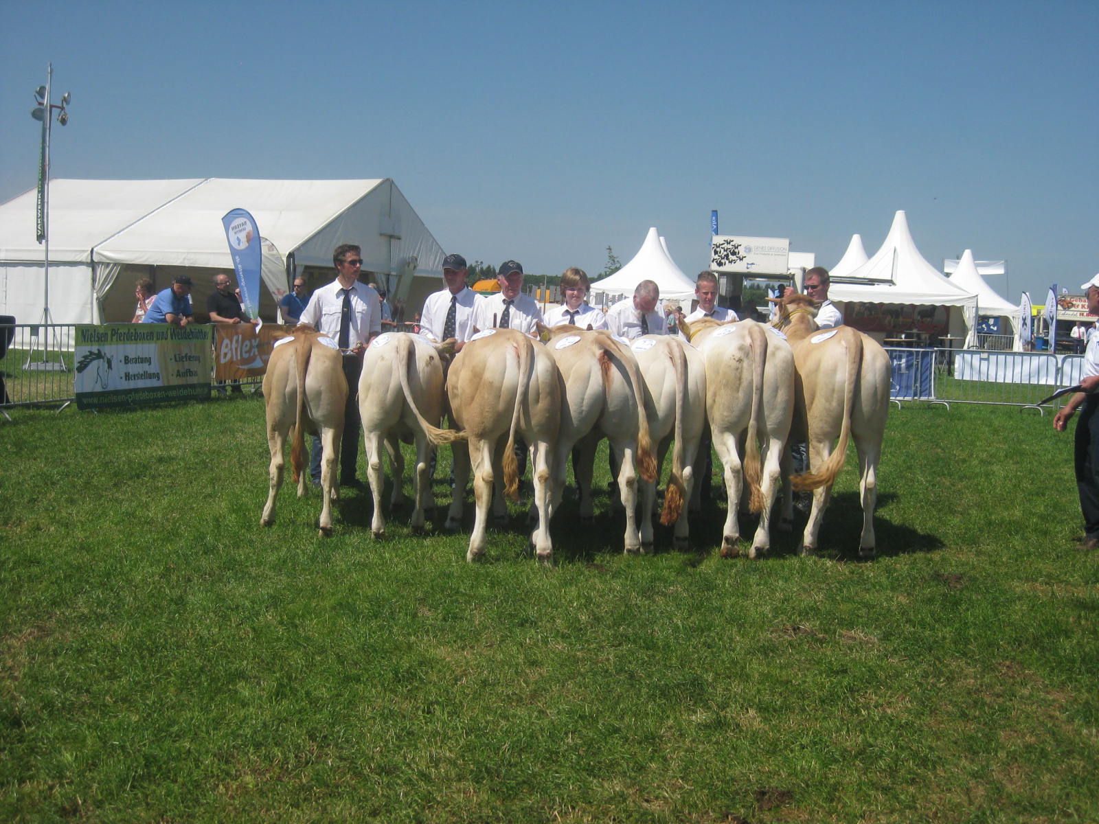 Dennis Boerland wint wedstrijd veebeoordelen