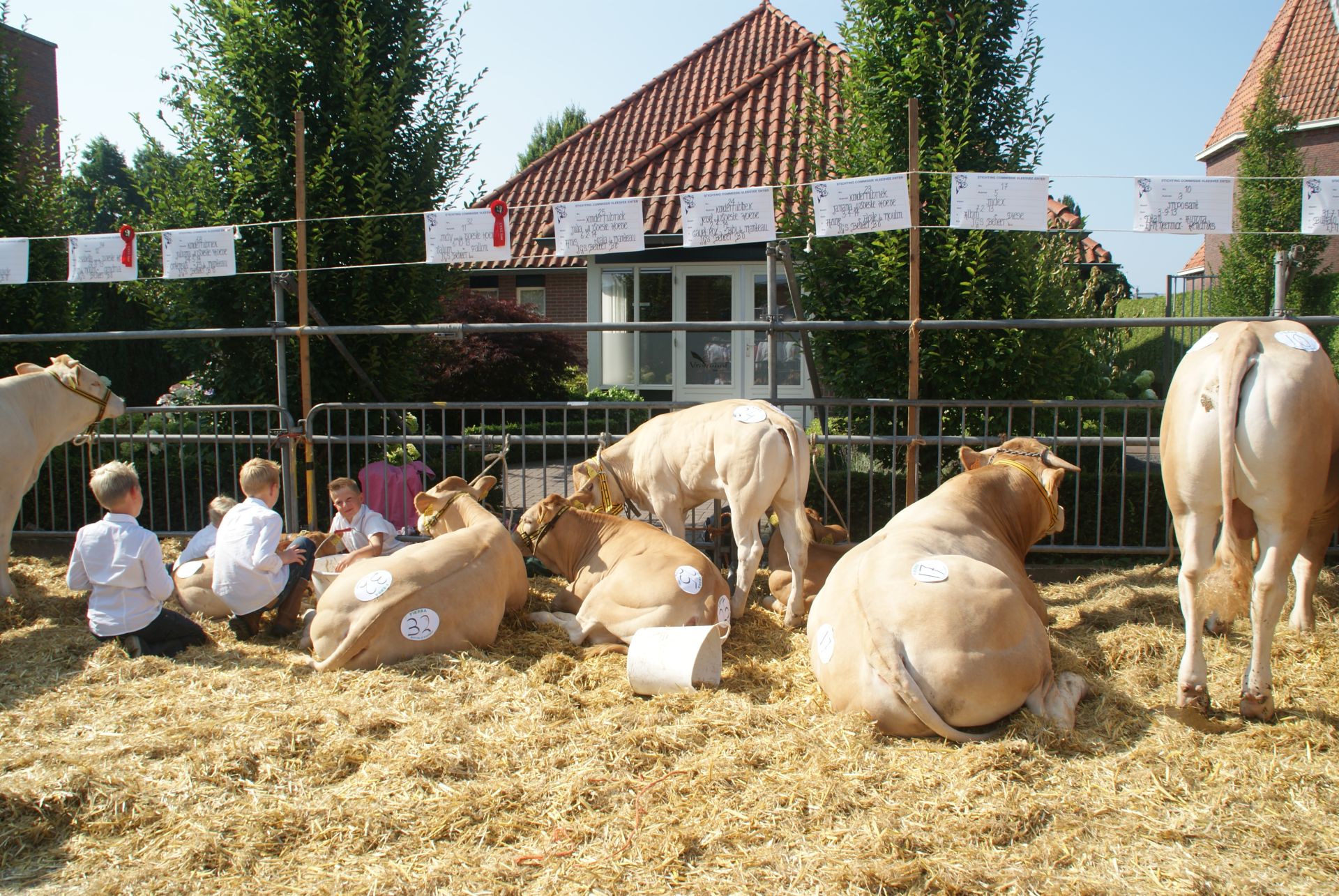 Ruime inschrijving voor de keuring in Enter