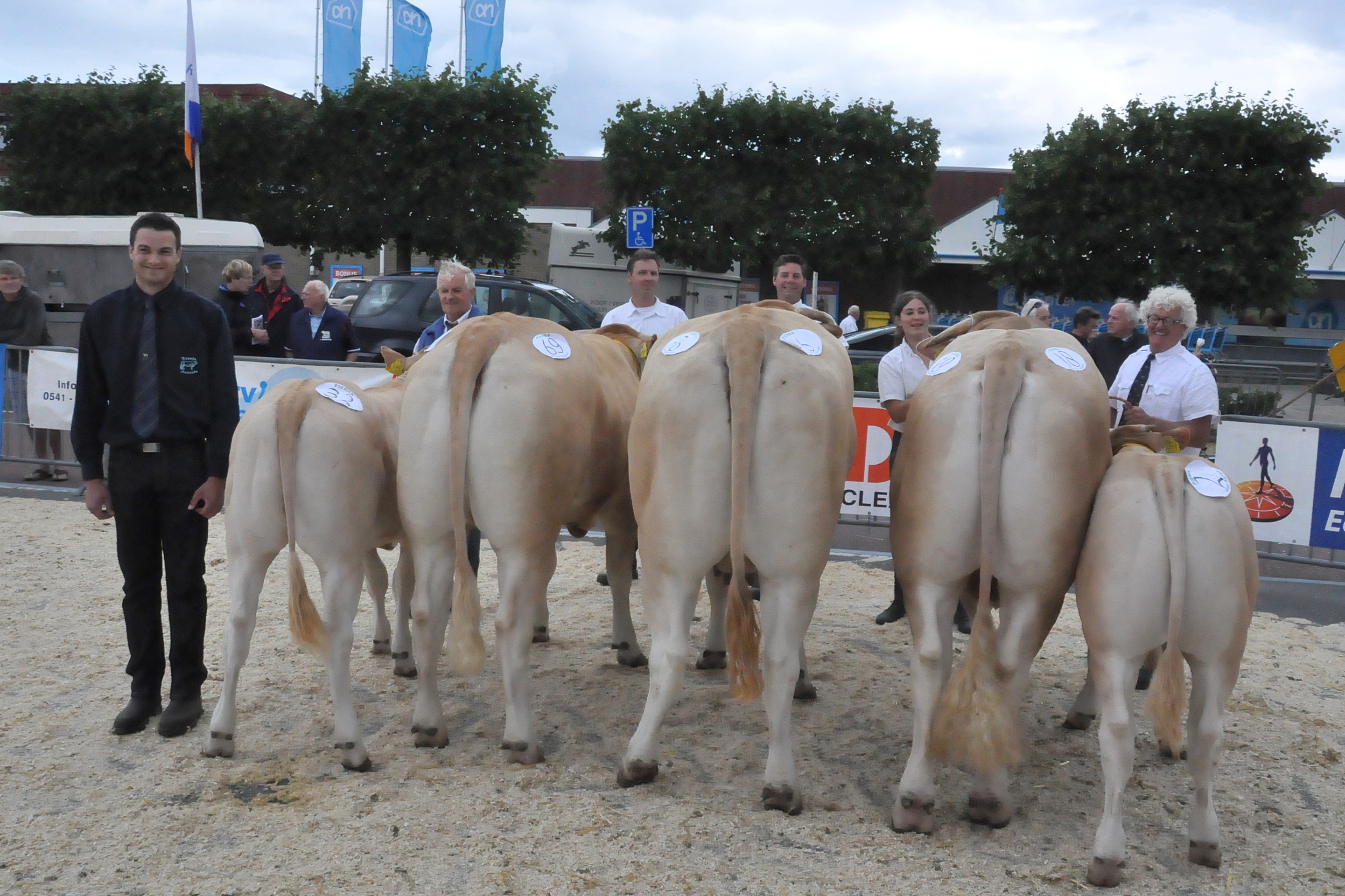 Jury onder de indruk in Enter
