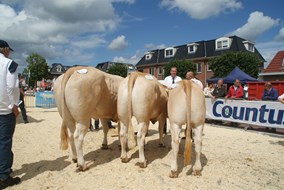 DSC02446 bedrijfsgroep Schilder 1
