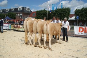 DSC02449 bedrijfsgroep Neerincx
