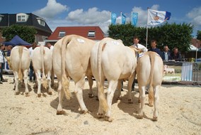 DSC02442 bedrijfsgroep Schilder 2