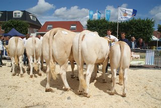 DSC02442 bedrijfsgroep Schilder 2