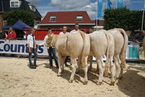 DSC02444 bedrijfsgroep Tielbeke