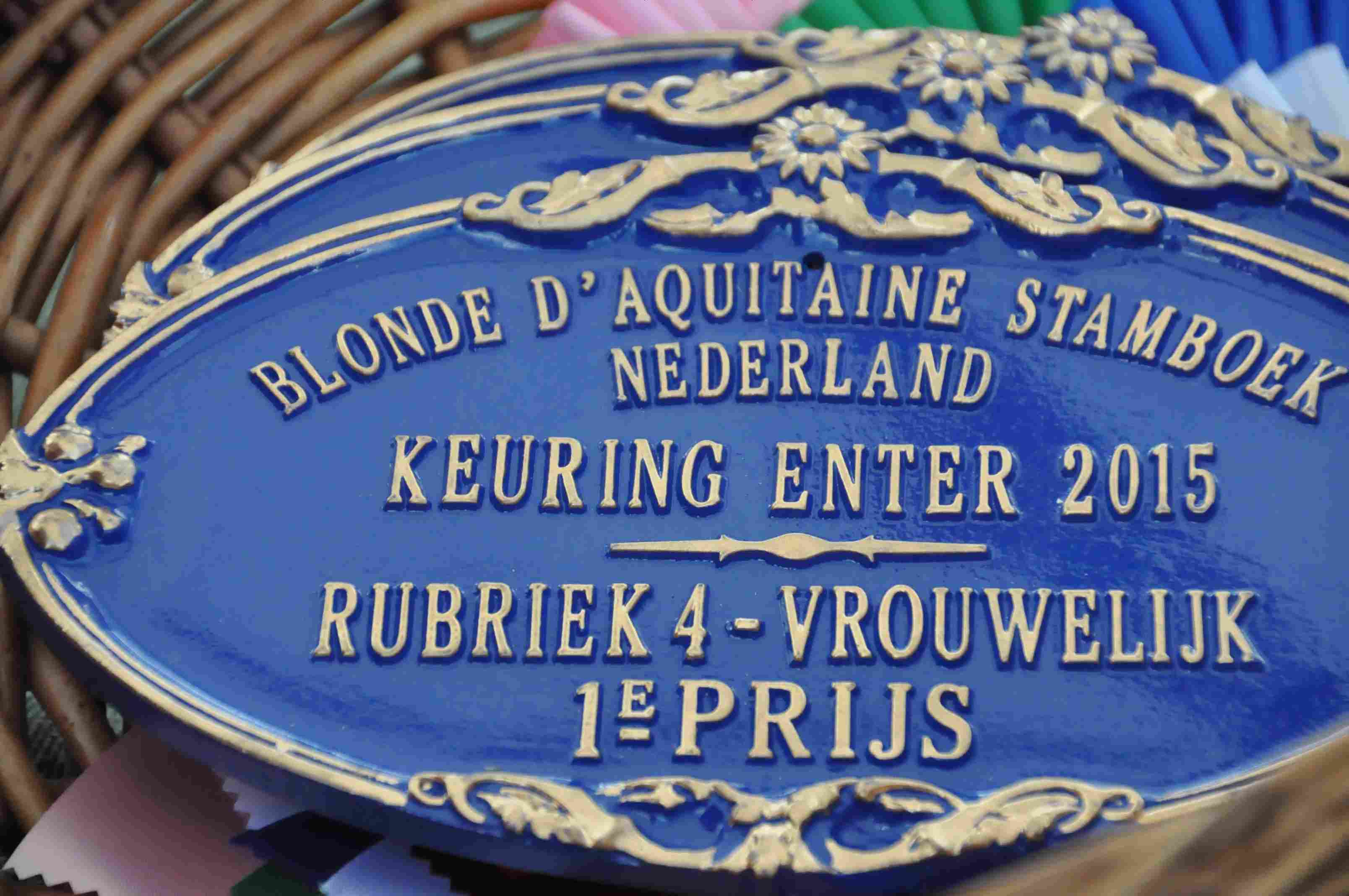 Sfeer van Enter in beeld