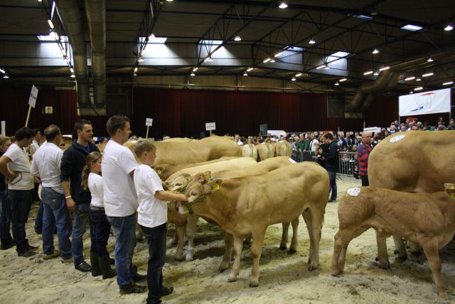 Veel fokkers schrijven in voor de NVM
