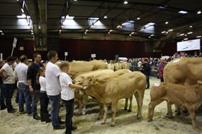 IMG_0082
