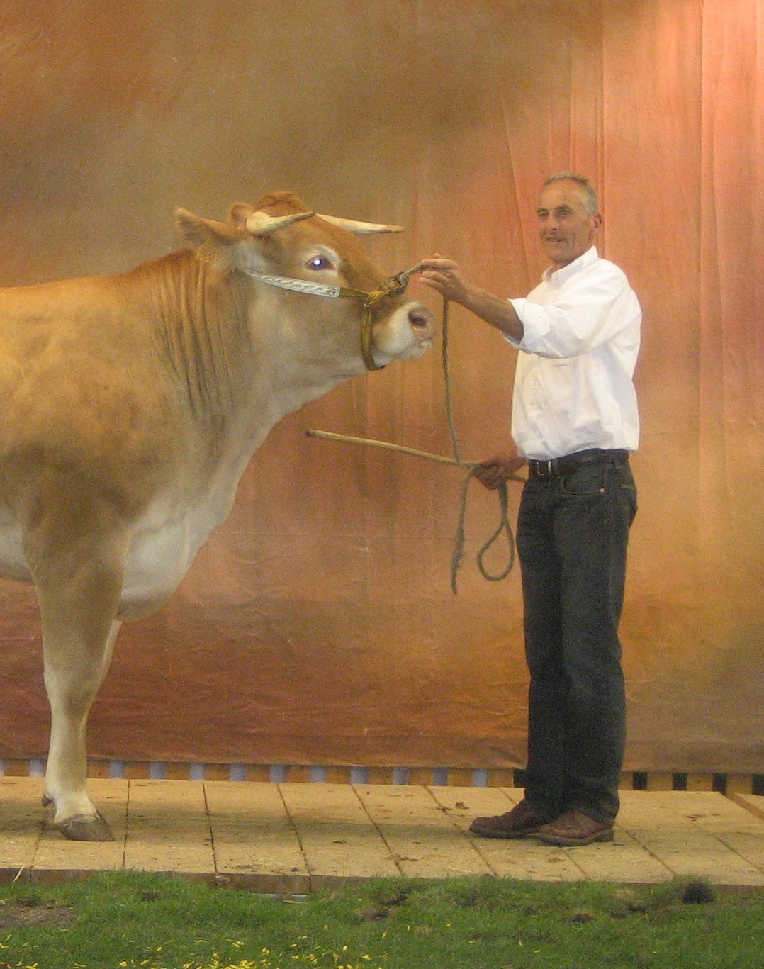Serge Cadiergues en Marc Antoine Cazal keuren op de NVM