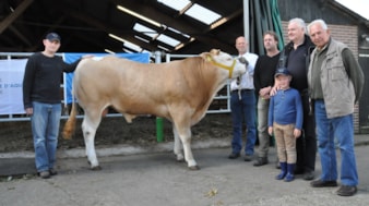 BAC Westerstreek Julian veilingtopper