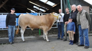 BAC Westerstreek Julian veilingtopper