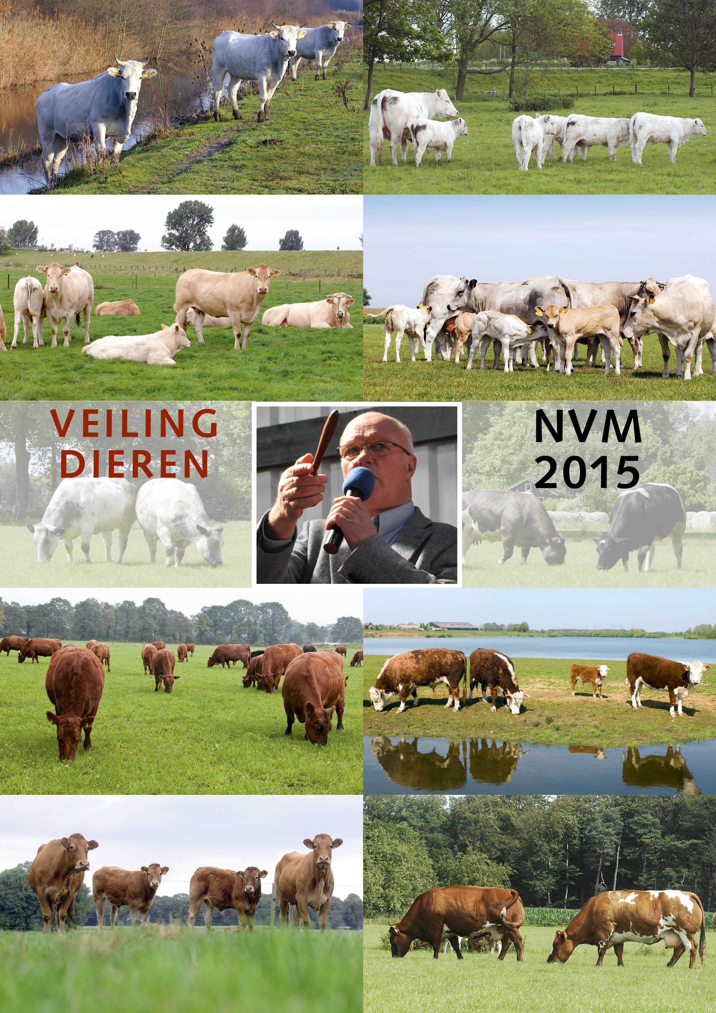 Foto's dieren Eliteveiling